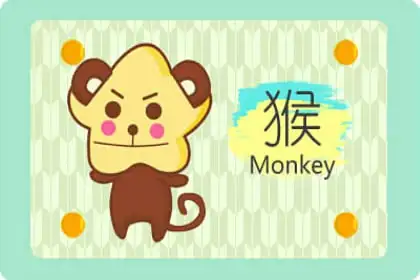 什袭而藏准确是打什么最佳精准生肖,解释落实成语释义