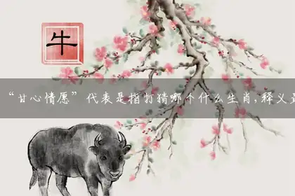 “甘心情愿”代表是指打猜哪个什么生肖,释义最佳成语解释剖析