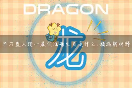 单刀直入释义精选解释解答落实